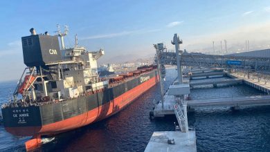 137514828_1132254683862350_7014759649174555656_o