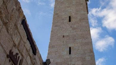 1771575845317-1024x1536