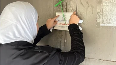 22026917449456595286