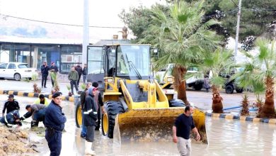 277706809_7227577427315123_48008-8