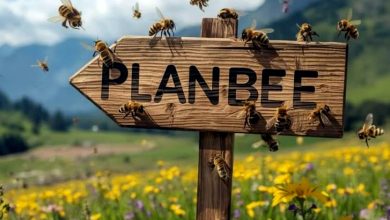 368dc617-0178-4b1b-b6ca-87467bf8d91e-16