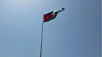 4202616161150680490247