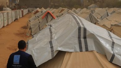 532531_60_1773216661