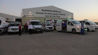 63905052396254087335