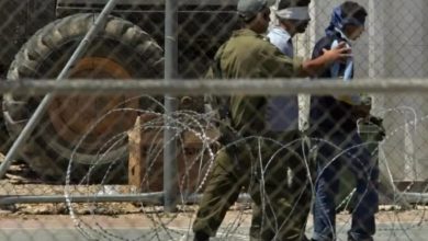 Screenshot-2025-04-02-082214