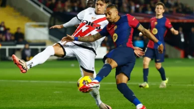 UP1EL2H1KW8P5-1739824633