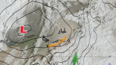 WhatsApp-Image-2026-03-14-at-11.39.49-AM