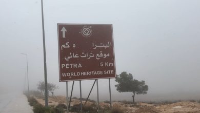 WhatsApp-Image-2026-03-26-at-4.07.36-PM-2