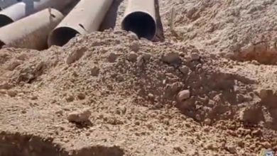 WhatsApp-Image-2026-04-11-at-3.15.33-PM