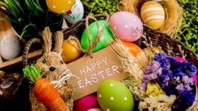 b2411649282ce5f757b2e2a49b207280