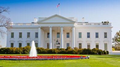 bright-red-tomatoes-in-close-up-2021-09-03-06-34-58-utc-copy-2