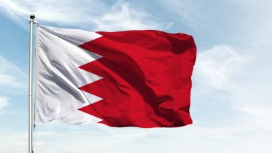 d542a446-0eb3-422a-8f4b-492abd761fb8-10