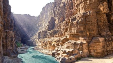 ed111887-2002-41e9-b6c0-4bf73c71a554