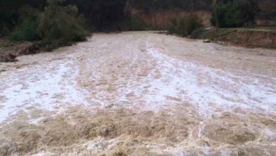 fXwAUQrYvYG9T50i2Da0jmWJsWdcEKvhxc1kGMSl