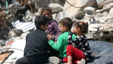 image560x340cropped_7737