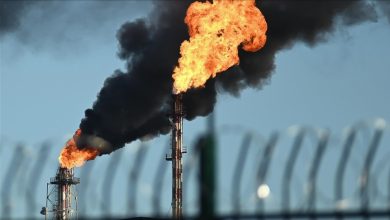 thumbs_b_c_170196b812ac962d23c852cff8392dcd