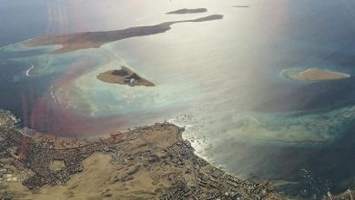 thumbs_b_c_d40a3b11d4c2839f3ebbd88d26b56d0d